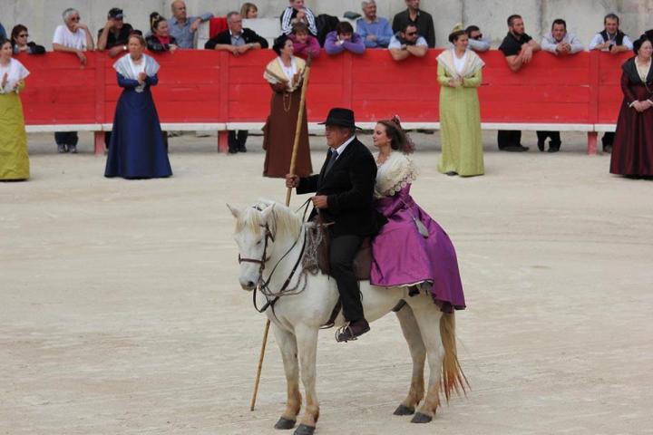 vous pouvez passer une belle journée Camarguaise. 